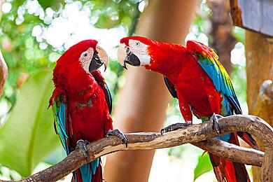 传闻：明天的PS发布会没有《战神5》《蜘蛛侠2》